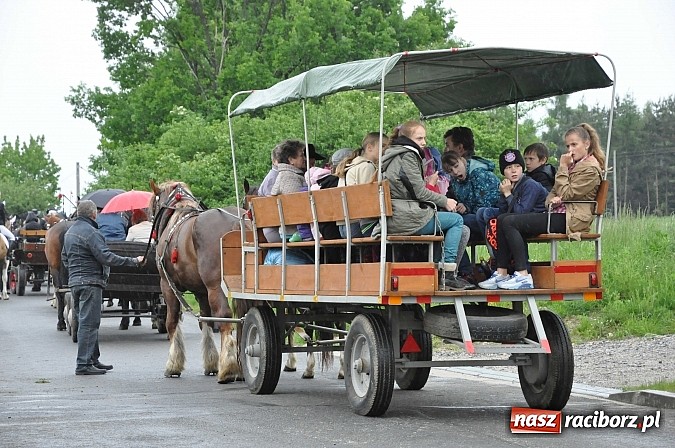 Zdjęcie w galerii na portalu naszraciborz.pl: W Brzeziu jak tradycja każe mimo deszczu poszli w procesji ze św. Urbanem wiadomości z regionu