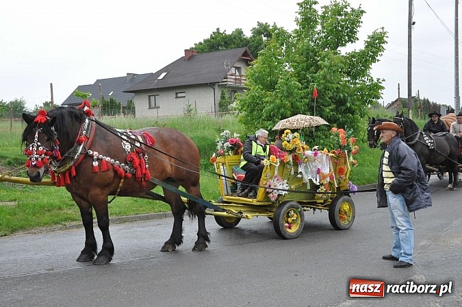 Zdjęcie w galerii na portalu naszraciborz.pl: W Brzeziu jak tradycja każe mimo deszczu poszli w procesji ze św. Urbanem wiadomości z regionu