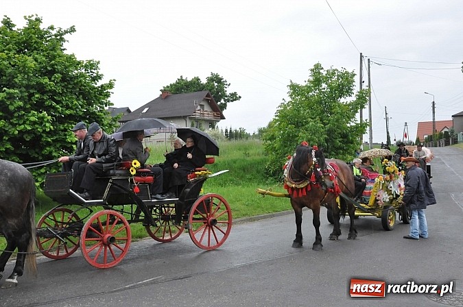 Zdjęcie w galerii na portalu naszraciborz.pl: W Brzeziu jak tradycja każe mimo deszczu poszli w procesji ze św. Urbanem wiadomości z regionu