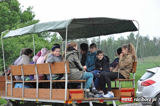 Zdjęcie w galerii na portalu naszraciborz.pl: W Brzeziu jak tradycja każe mimo deszczu poszli w procesji ze św. Urbanem wiadomości z regionu