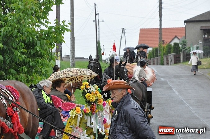 Zdjęcie w galerii na portalu naszraciborz.pl: W Brzeziu jak tradycja każe mimo deszczu poszli w procesji ze św. Urbanem wiadomości z regionu
