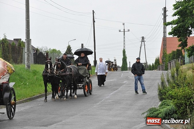 Zdjęcie w galerii na portalu naszraciborz.pl: W Brzeziu jak tradycja każe mimo deszczu poszli w procesji ze św. Urbanem wiadomości z regionu