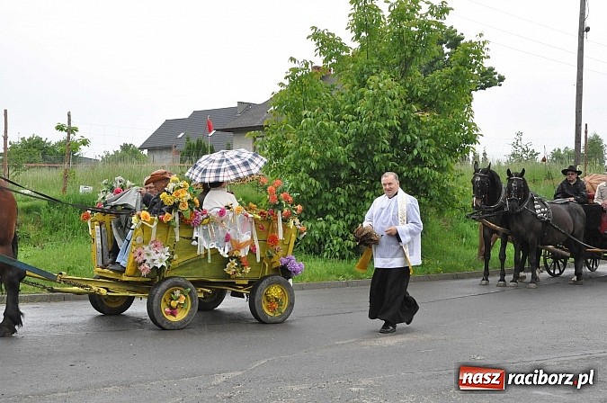 Zdjęcie w galerii na portalu naszraciborz.pl: W Brzeziu jak tradycja każe mimo deszczu poszli w procesji ze św. Urbanem wiadomości z regionu