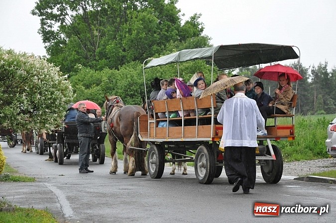 Zdjęcie w galerii na portalu naszraciborz.pl: W Brzeziu jak tradycja każe mimo deszczu poszli w procesji ze św. Urbanem wiadomości z regionu