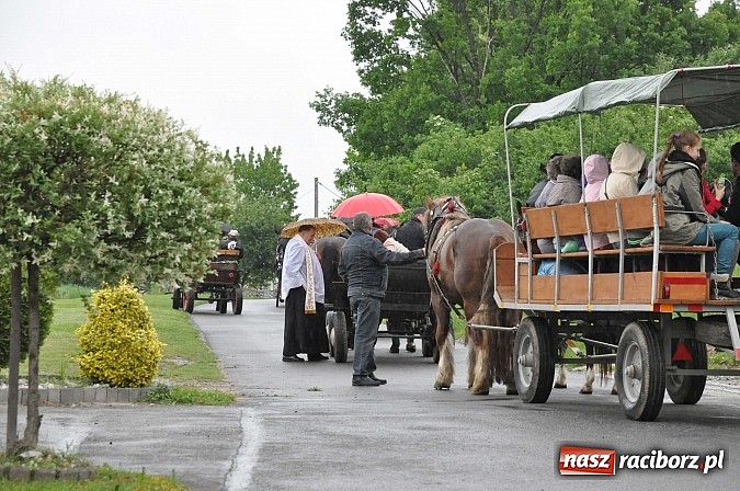 Zdjęcie w galerii na portalu naszraciborz.pl: W Brzeziu jak tradycja każe mimo deszczu poszli w procesji ze św. Urbanem wiadomości z regionu