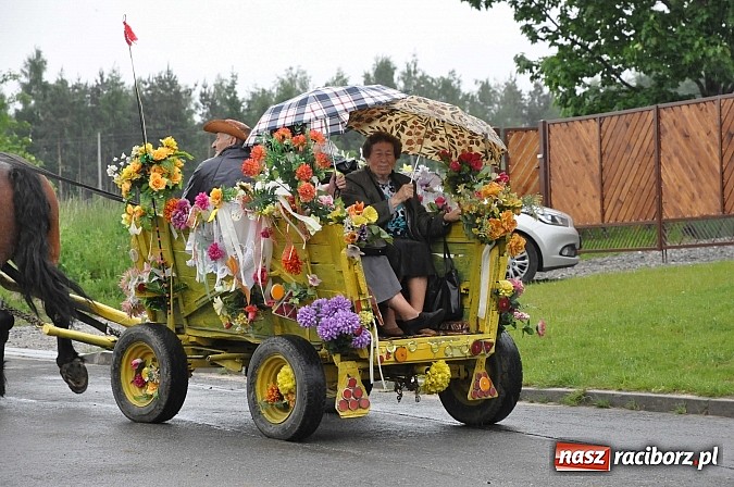 Zdjęcie w galerii na portalu naszraciborz.pl: W Brzeziu jak tradycja każe mimo deszczu poszli w procesji ze św. Urbanem wiadomości z regionu