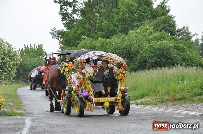 Zdjęcie w galerii na portalu naszraciborz.pl: W Brzeziu jak tradycja każe mimo deszczu poszli w procesji ze św. Urbanem wiadomości z regionu