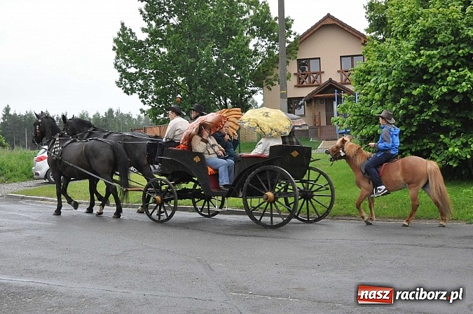 Zdjęcie w galerii na portalu naszraciborz.pl: W Brzeziu jak tradycja każe mimo deszczu poszli w procesji ze św. Urbanem wiadomości z regionu