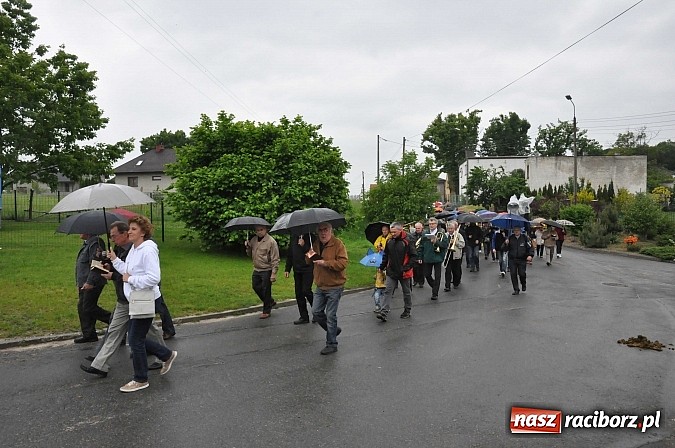 Zdjęcie w galerii na portalu naszraciborz.pl: W Brzeziu jak tradycja każe mimo deszczu poszli w procesji ze św. Urbanem wiadomości z regionu