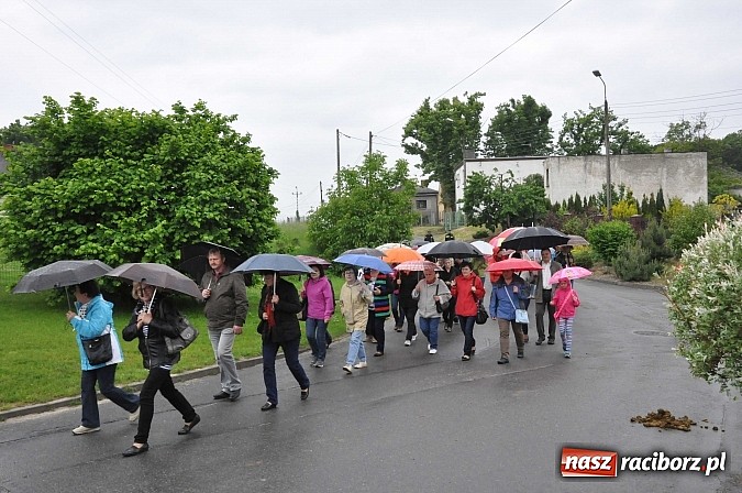 Zdjęcie w galerii na portalu naszraciborz.pl: W Brzeziu jak tradycja każe mimo deszczu poszli w procesji ze św. Urbanem wiadomości z regionu