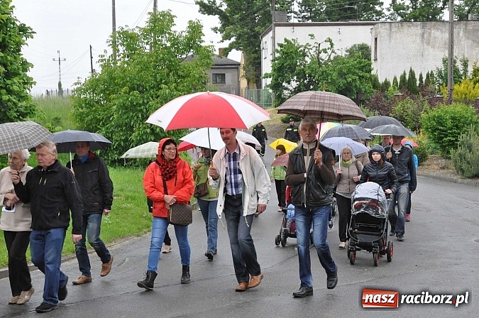 Zdjęcie w galerii na portalu naszraciborz.pl: W Brzeziu jak tradycja każe mimo deszczu poszli w procesji ze św. Urbanem wiadomości z regionu
