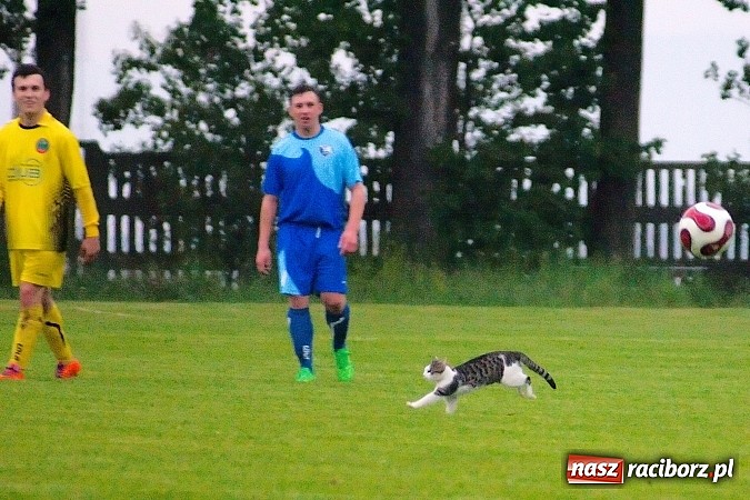 Zdjęcie w galerii na portalu naszraciborz.pl: Tragedia w dwóch aktach. Gamów lepszy od Owsiszcz wiadomości z regionu