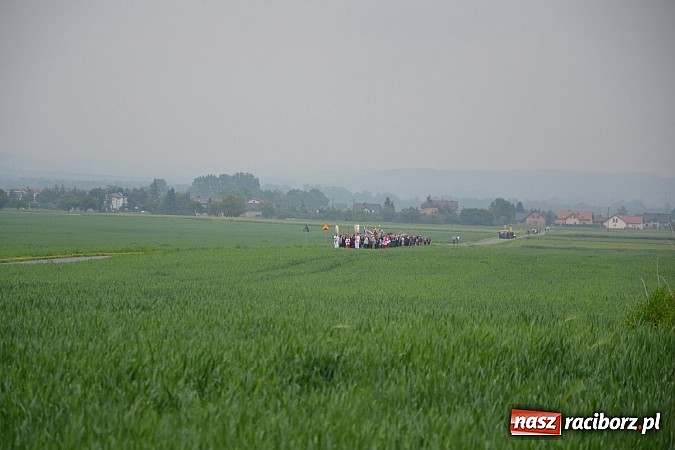 Zdjęcie w galerii na portalu naszraciborz.pl: Z Tworkowa, Haci i Bolesławia na Urbanek wiadomości z regionu