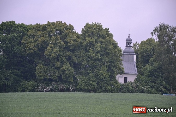 Zdjęcie w galerii na portalu naszraciborz.pl: Z Tworkowa, Haci i Bolesławia na Urbanek wiadomości z regionu