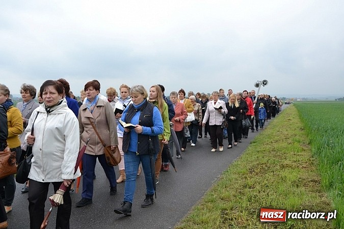 Zdjęcie w galerii na portalu naszraciborz.pl: Z Tworkowa, Haci i Bolesławia na Urbanek wiadomości z regionu