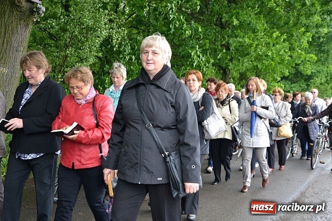 Zdjęcie w galerii na portalu naszraciborz.pl: Z Tworkowa, Haci i Bolesławia na Urbanek wiadomości z regionu
