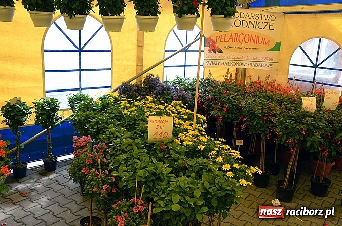 Zdjęcie w galerii na portalu naszraciborz.pl: Jubileuszowa XV Eko-Wystawa w Pietrowicach Wielkich wiadomości z regionu