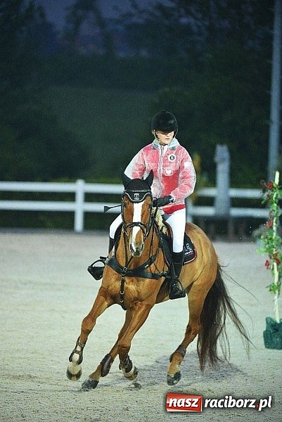 Zdjęcie w galerii na portalu naszraciborz.pl: Raciborskie amazonki odnoszą sukcesy na europejskich parkurach wiadomości z regionu