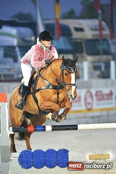 Zdjęcie w galerii na portalu naszraciborz.pl: Raciborskie amazonki odnoszą sukcesy na europejskich parkurach wiadomości z regionu