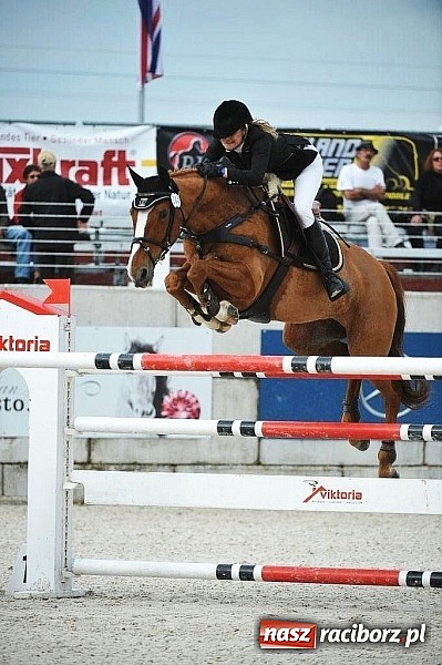 Zdjęcie w galerii na portalu naszraciborz.pl: Raciborskie amazonki odnoszą sukcesy na europejskich parkurach wiadomości z regionu