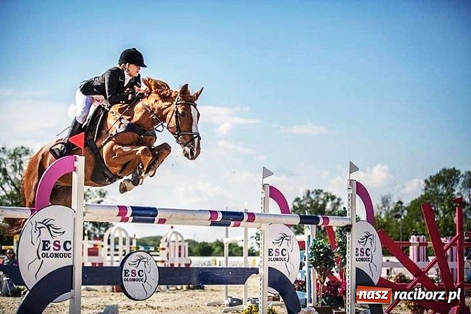 Zdjęcie w galerii na portalu naszraciborz.pl: Raciborskie amazonki odnoszą sukcesy na europejskich parkurach wiadomości z regionu