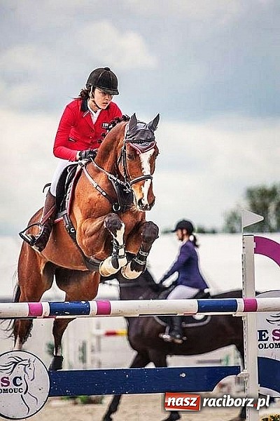 Zdjęcie w galerii na portalu naszraciborz.pl: Raciborskie amazonki odnoszą sukcesy na europejskich parkurach wiadomości z regionu