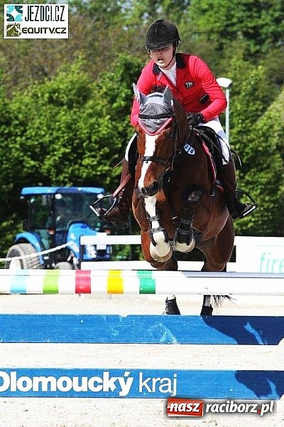 Zdjęcie w galerii na portalu naszraciborz.pl: Raciborskie amazonki odnoszą sukcesy na europejskich parkurach wiadomości z regionu