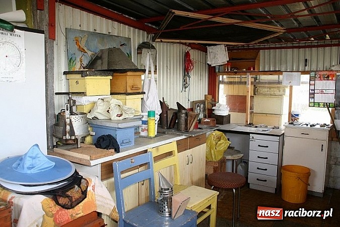 Zdjęcie w galerii na portalu naszraciborz.pl: ZSO Tworków wyróżniony w ogólnopolskim konkursie Akademie Przyjaciół Pszczół na piątkę!  wiadomości z regionu