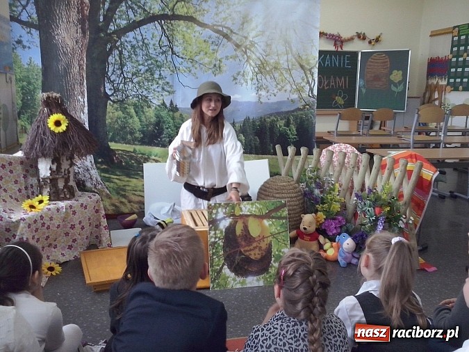 Zdjęcie w galerii na portalu naszraciborz.pl: Oko w oko z pszczołami w szkole na Ostrogu  wiadomości z regionu