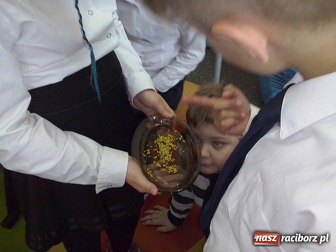 Zdjęcie w galerii na portalu naszraciborz.pl: Oko w oko z pszczołami w szkole na Ostrogu  wiadomości z regionu