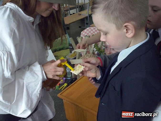 Zdjęcie w galerii na portalu naszraciborz.pl: Oko w oko z pszczołami w szkole na Ostrogu  wiadomości z regionu