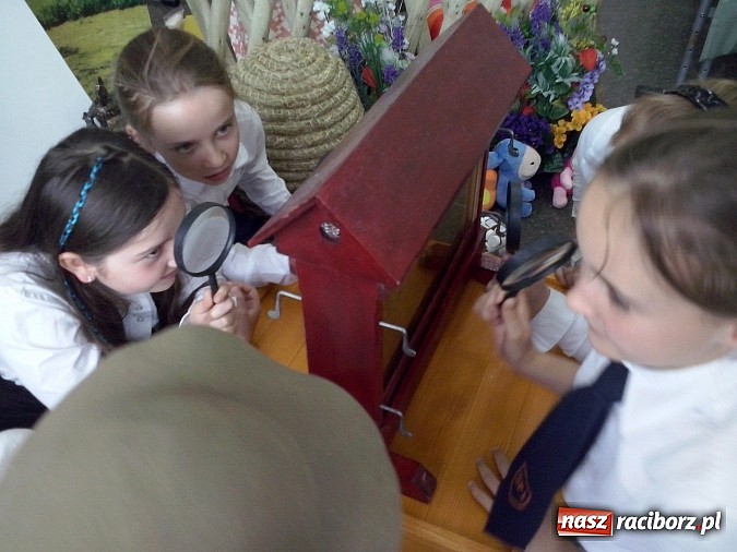 Zdjęcie w galerii na portalu naszraciborz.pl: Oko w oko z pszczołami w szkole na Ostrogu  wiadomości z regionu