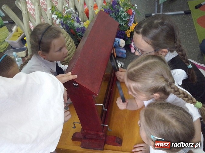 Zdjęcie w galerii na portalu naszraciborz.pl: Oko w oko z pszczołami w szkole na Ostrogu  wiadomości z regionu