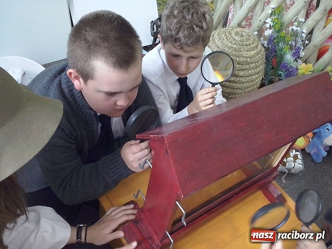 Zdjęcie w galerii na portalu naszraciborz.pl: Oko w oko z pszczołami w szkole na Ostrogu  wiadomości z regionu