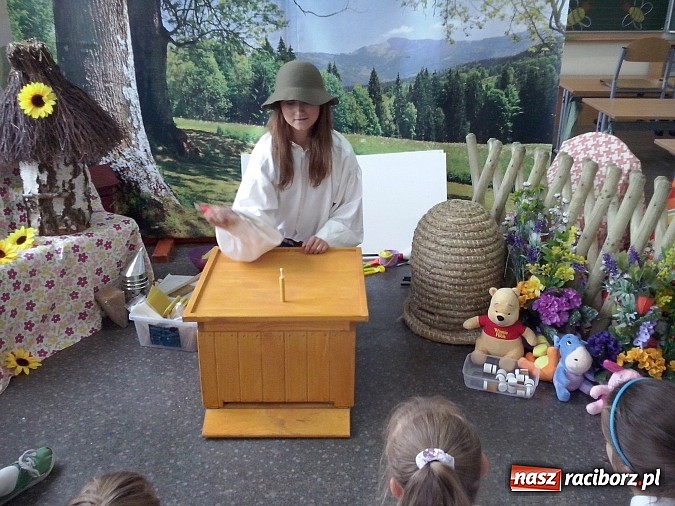 Zdjęcie w galerii na portalu naszraciborz.pl: Oko w oko z pszczołami w szkole na Ostrogu  wiadomości z regionu