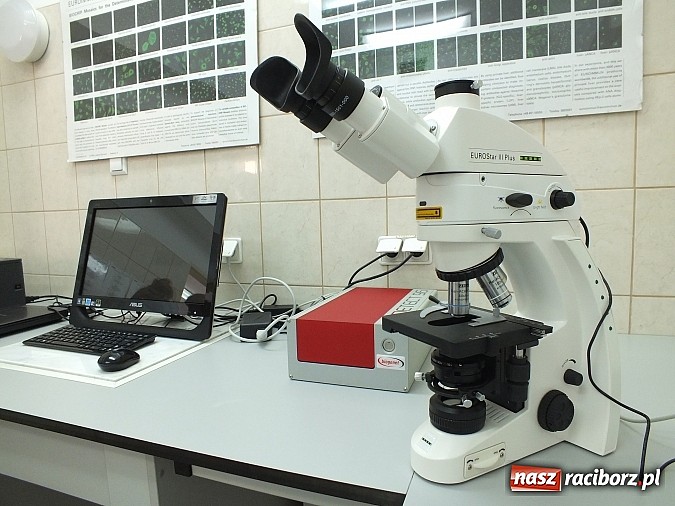 Zdjęcie w galerii na portalu naszraciborz.pl: Dziś Dzień Diagnosty Laboratoryjnego wiadomości z regionu