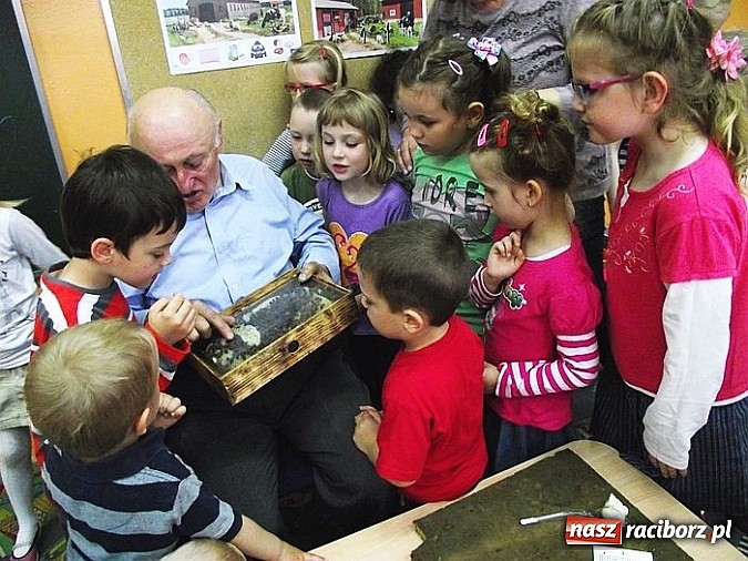 Zdjęcie w galerii na portalu naszraciborz.pl: Przedszkolaki z Brzezia spotkały się z pszczelarzem  wiadomości z regionu
