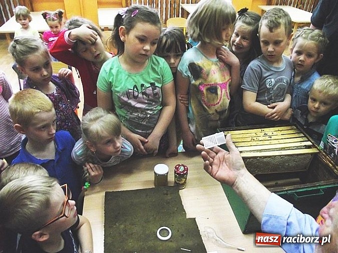 Zdjęcie w galerii na portalu naszraciborz.pl: Przedszkolaki z Brzezia spotkały się z pszczelarzem  wiadomości z regionu