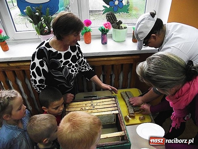 Zdjęcie w galerii na portalu naszraciborz.pl: Przedszkolaki z Brzezia spotkały się z pszczelarzem  wiadomości z regionu