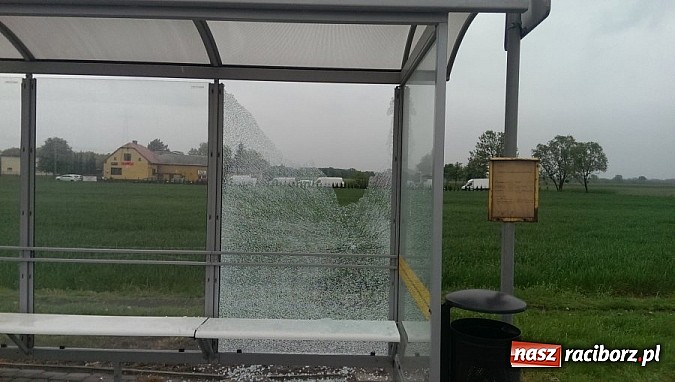 Zdjęcie w galerii na portalu naszraciborz.pl: Sprawca dewastacji przystanków w Krzyżanowicach zatrzymany. Strzelał do wiat z wiatrówek wiadomości z regionu