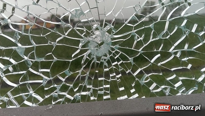 Zdjęcie w galerii na portalu naszraciborz.pl: Sprawca dewastacji przystanków w Krzyżanowicach zatrzymany. Strzelał do wiat z wiatrówek wiadomości z regionu