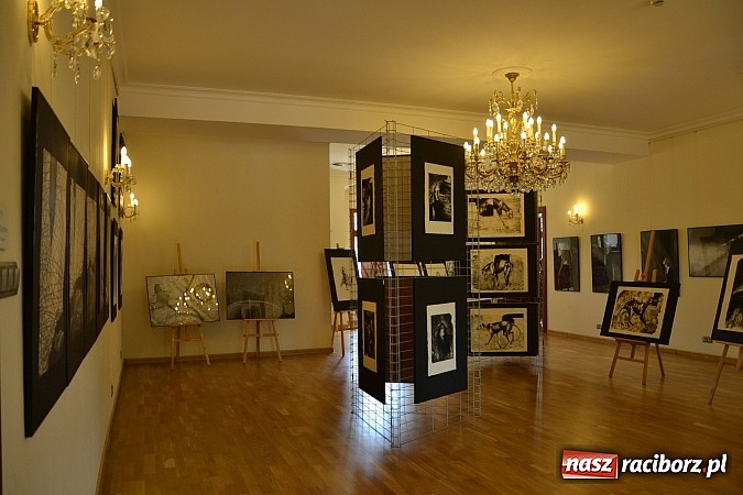 Zdjęcie w galerii na portalu naszraciborz.pl: Dyplom 2015 - wernisaż wystawy absolwent&oacute;w Liceum Plastycznego ZSO nr 1 wiadomości z regionu