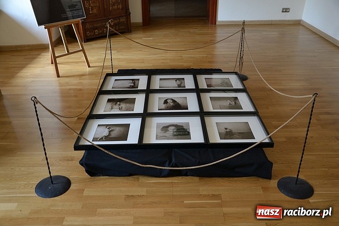 Zdjęcie w galerii na portalu naszraciborz.pl: Dyplom 2015 - wernisaż wystawy absolwent&oacute;w Liceum Plastycznego ZSO nr 1 wiadomości z regionu