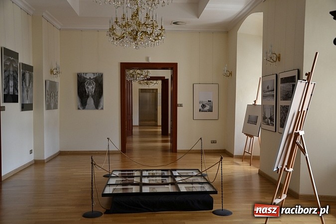 Zdjęcie w galerii na portalu naszraciborz.pl: Dyplom 2015 - wernisaż wystawy absolwent&oacute;w Liceum Plastycznego ZSO nr 1 wiadomości z regionu