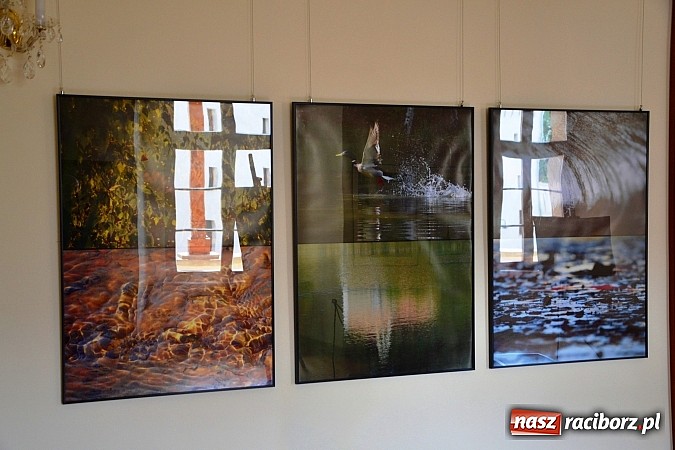 Zdjęcie w galerii na portalu naszraciborz.pl: Dyplom 2015 - wernisaż wystawy absolwent&oacute;w Liceum Plastycznego ZSO nr 1 wiadomości z regionu