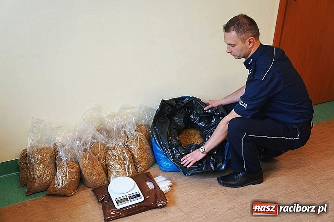 Zdjęcie w galerii na portalu naszraciborz.pl: Policjanci przejęli ponad 12 kilogramów tytoniu! wiadomości z regionu