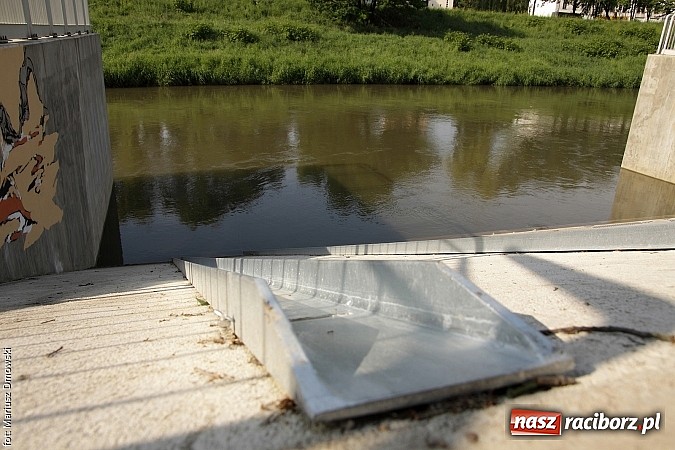 Zdjęcie w galerii na portalu naszraciborz.pl: Przystań zmienia swoje oblicze. Beton pokryją murale  wiadomości z regionu