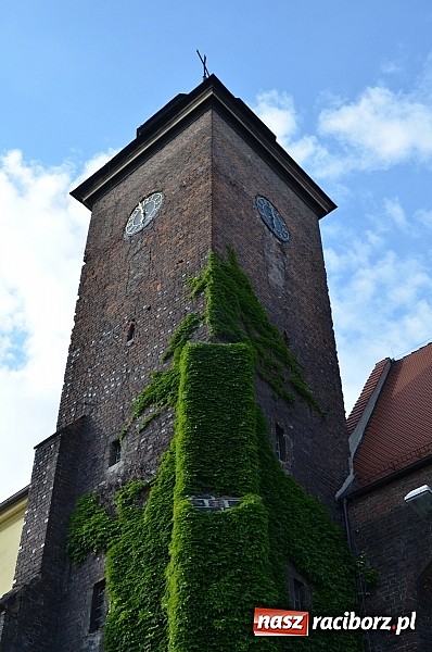 Zdjęcie w galerii na portalu naszraciborz.pl: Salwa na początek a potem prelekcje, koncert i zwiedzanie do nocy wiadomości z regionu