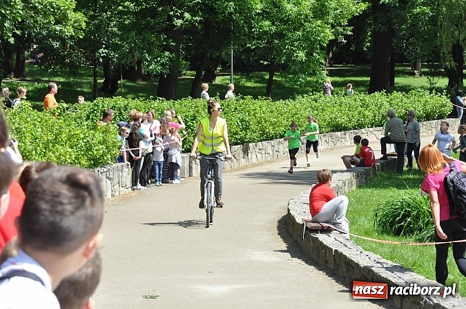 Zdjęcie w galerii na portalu naszraciborz.pl: IX Raciborski Bieg Profilaktyczny  wiadomości z regionu