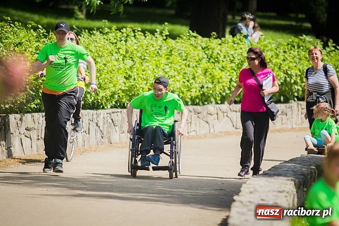 Zdjęcie w galerii na portalu naszraciborz.pl: IX Raciborski Bieg Profilaktyczny  wiadomości z regionu